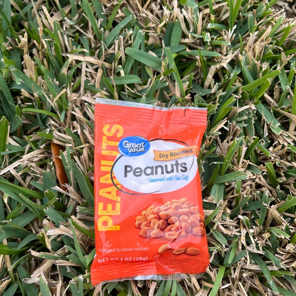 Dry Roasted Peanuts - Orange